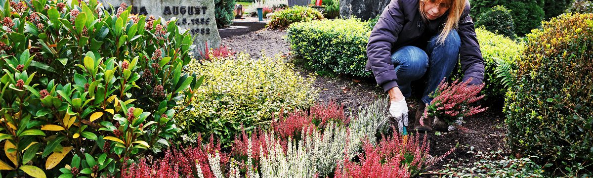 Grabpfleger & Friedhofsgärtner in Seligenstadt